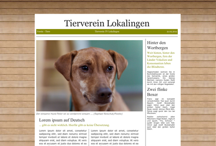 Screenshot Vereinszeitung