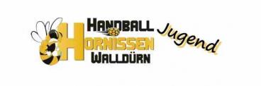 Handball - Hallen - News Ausgabe 2 Hallen - Handball - News (Seite 1)