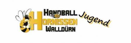 Handball - Hallen - News Ausgabe 1 Handball - Hallen - News (Seite 1)