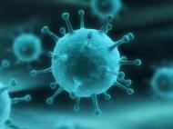 Total ausgedachter Artikel für den Biologieunterricht 9. Klasse Ausgedachte Influenza-Daten für die Nutzung in der Schule Erste Seite