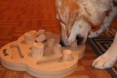 Der Angsthund 4/2012 Der Dog Fighter - Inteligenzspielzeug