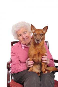 Tiertafel News 2014 Ausgabe November 2013 Hunde heitern demenzkranke auf