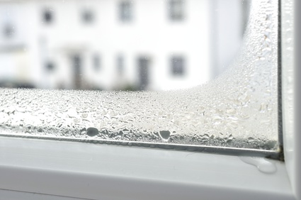 Wissenswertes über Fenster und Türen Wie kann man Kondenswasser bei Fenstern vermeiden? Kondenswasser am Fenster